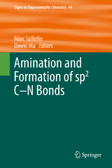 Amination and Formation of sp2 C-N Bonds - 