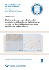 Effekt selektiver und nicht selektiver nichtsteroidaler Antiphlogistika auf die Entz&uuml;ndungsreaktion von durch Isch&auml;mie und Reperfusion gesch&auml;digtem equinen Jejunum - Stefanie Franz