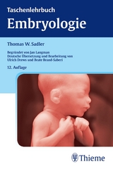 Taschenlehrbuch Embryologie - Thomas W. Sadler, Ulrich Drews, Beate Brand-Saberi