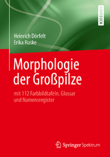Morphologie der Gro&szlig;pilze - Heinrich D&ouml;rfelt, Erika Ruske