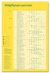 Heilpflanzen sammeln, Poster - 