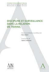 Discipline et surveillance dans la relation de travail - Steve Gilson (sous la coordination de),  Collectif