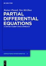 Partial Differential Equations - Rainer Picard, Des McGhee