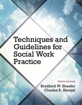 Techniques and Guidelines for Social Work Practice - Sheafor, Bradford; Horejsi, Charles