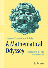 A Mathematical Odyssey - Steven G. Krantz, Harold R. Parks