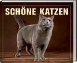 Sch&ouml;ne Katzen - Catherine Davidson
