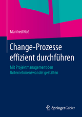 Change-Prozesse effizient durchf&uuml;hren - Manfred No&eacute;