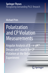Polarization and CP Violation Measurements - Michael Prim