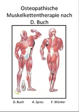 Osteopathische Muskelkettentherapie nach D. Buch - Daniel Buch, Frank M&uuml;nter