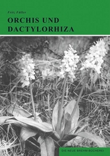 Orchis und Dactylorhiza - Horst F&uuml;ller