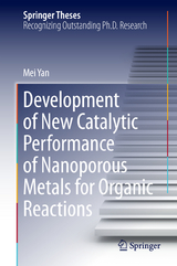 Development of New Catalytic Performance of Nanoporous Metals for Organic Reactions - Mei Yan
