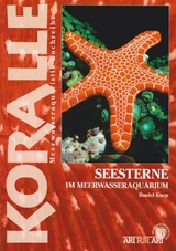 Seesterne im Meerwasseraquarium - Daniel Knop