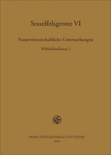 Sesselfelsgrotte VI - 