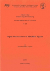 Digital Enhancement of EEG/MEG Signals - Alina Santillán Guzmán