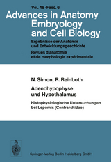 Adenohypophyse und Hypothalamus Histophysiologische Untersuchungen bei Lepomis (Centrarchidae) - N. Simon, R. Reinboth