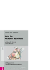 Atlas der Anatomie des Rindes - Klaus-Dieter Budras, Anita W&uuml;nsche