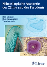 Mikroskopische Anatomie der Z&auml;hne und des Parodonts - Hans Schwarzbach, Vitus Stachniss, Birte Steiniger