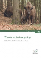 Wisente im Rothaargebirge - 