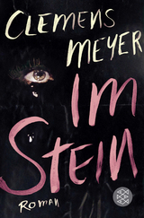 Im Stein - Clemens Meyer