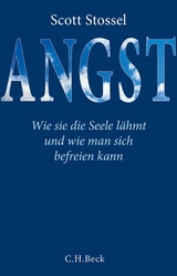 Angst - Scott Stossel