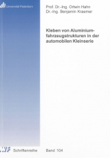 Kleben von Aluminiumfahrzeugstrukturen in der automobilen Kleinserie - Benjamin Kraemer