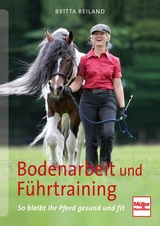 Bodenarbeit und F&uuml;hrtraining - Britta Reiland