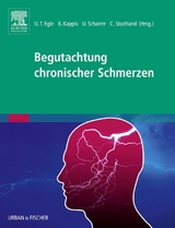 Begutachtung chronischer Schmerzen - 