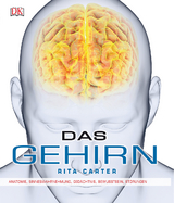 Das Gehirn - Rita Carter