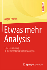 Etwas mehr Analysis - J&uuml;rgen P&ouml;schel
