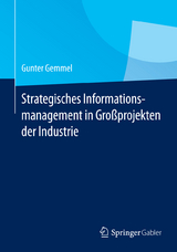 Strategisches Informationsmanagement in Gro&szlig;projekten der Industrie - Gunter Gemmel