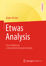Etwas Analysis - Jürgen Pöschel