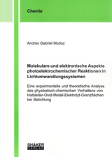 Molekulare und elektronische Aspekte photoelektrochemischer Reaktionen in Lichtumwandlungssystemen - Andr&eacute;s Gabirel Munoz