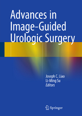 Advances in Image-Guided Urologic Surgery - 