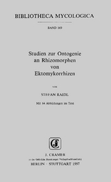 Studien zur Ontogenie an Rhizomorphen von Ektomykorrhizen - Stefan Raidl