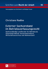 Externer Sachverstand im Betriebsverfassungsrecht - Christiane Radtke