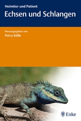 Echsen und Schlangen - Petra K&ouml;lle