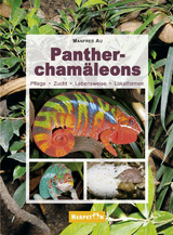 Panthercham&auml;leons - Manfred Au