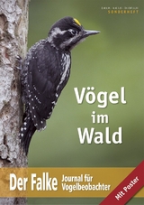 V&ouml;gel im Wald