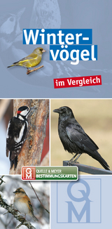 Winterv&ouml;gel im Vergleich