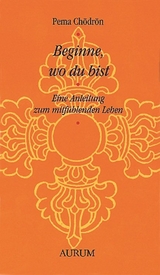 Beginne, wo du bist - Pema Ch&ouml;dr&ouml;n