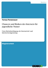 Chancen und Risiken des Internets für jugendliche Nutzer -  Teresa Penzenauer