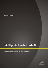 Intelligente Landwirtschaft: Sommerrapsanbau in Kasachstan - Maxim Zaitsev
