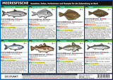 Info-Tafel-Set Meeresfische - Michael Schulze
