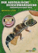 Der Australische Dickschwanzgecko - Andreas Laube