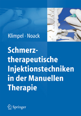 Schmerztherapeutische Injektionstechniken in der Manuellen Therapie - Lothar Klimpel, Dietmar Walter Noack