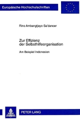 Zur Effizienz der Selbsthilfeorganisation - Rino Sa danoer