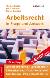 Arbeitsrecht in Frage und Antwort - Thomas Kallab, Marion Chwojka, Erich Ullmann