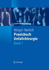 Praxisbuch Unfallchirurgie - 
