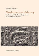 Abwehrzauber und Behexung - Daniel Schwemer