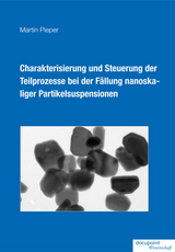 Charakterisierung und Steuerung der Teilprozesse bei der F&auml;llung nanoskaliger Partikelsuspensionen - Martin Pieper